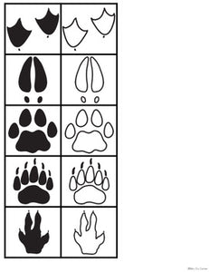 Animal Tracks File Folders ( 2 sets ) | File Folders for Special Education