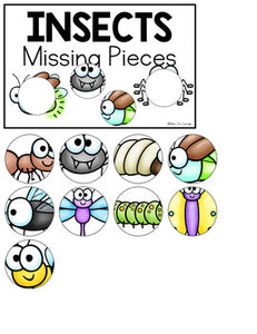 Insects Missing Pieces Task Box | Task Boxes for Special Education