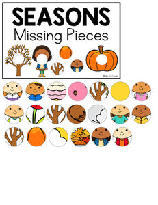 Seasons Missing Pieces Task Box | Task Boxes for Special Education