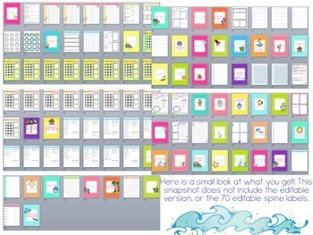 Editable Teacher Binder { Beach Theme } - The Ultimate Teacher Survival Binder