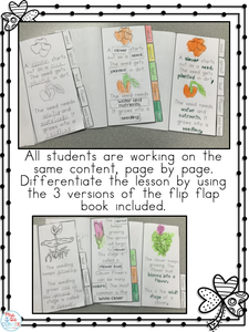 Life Cycle of a Shamrock Flip Flap Booklet [Differentiated]
