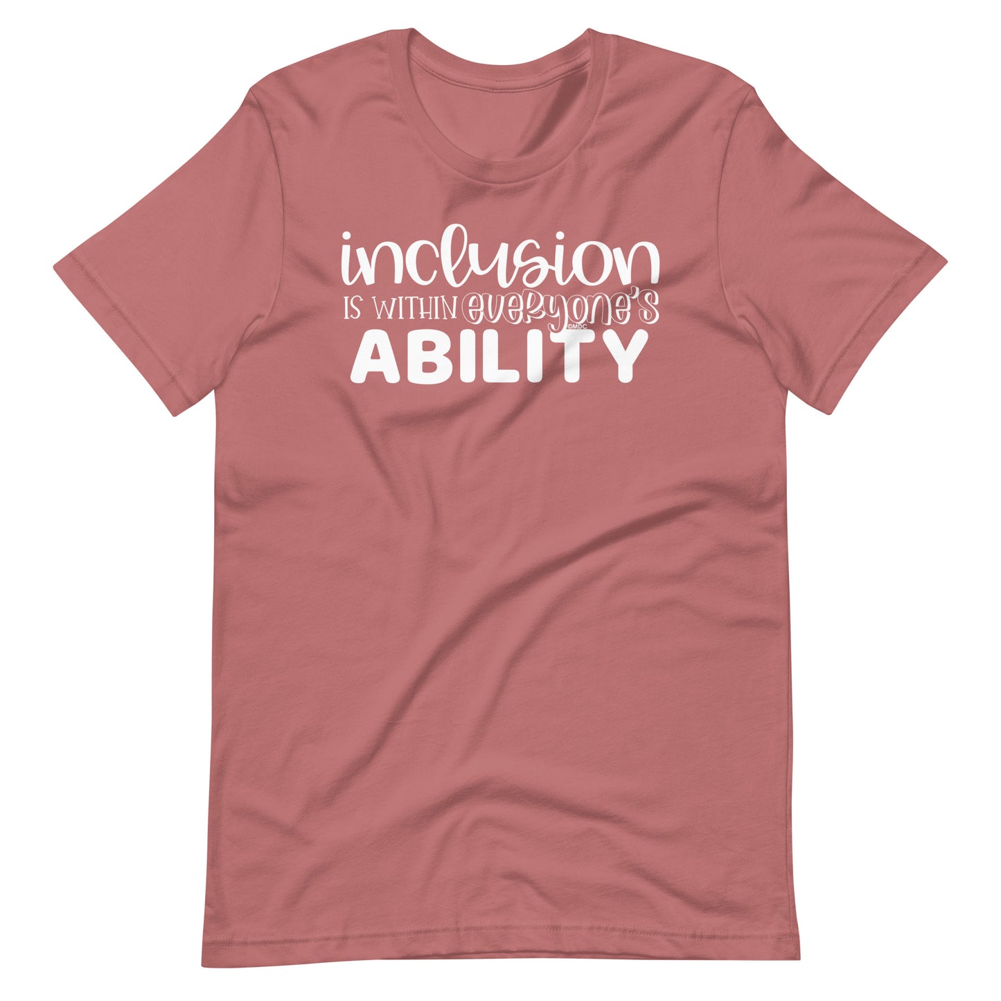 Inclusion is Within Everyone's Ability Special Education Teacher Tee